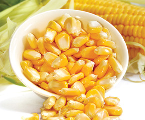 Select Frozen Sweet Corn