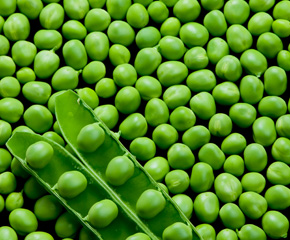 Select Frozen Peas